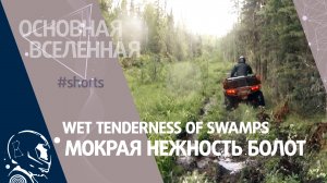 Wet tenderness of swamps - Мокрая нежность болот // Основная Вселенная