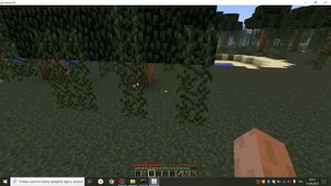 Minecraft 1.1