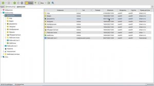Астра Линукс для дома: работа с файлами, особенности файловой системы