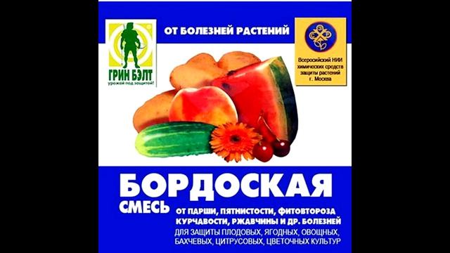 Весенняя обработка винограда и деревьев бордоской смесью