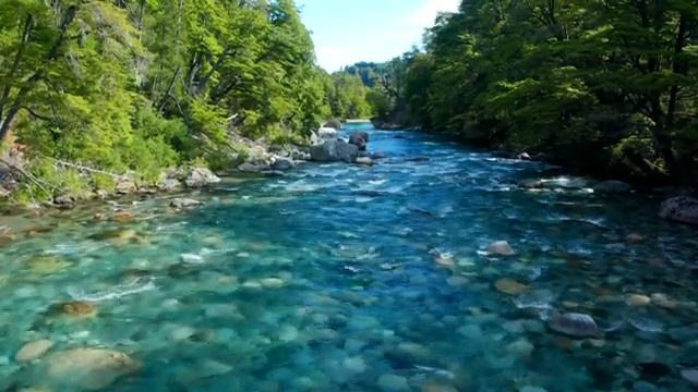 Beautiful valley stream sound.ASMR[4K] смотреть онлайн