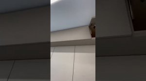 Кухонный гарнитуру, фасады Matelux(мателюкс), ЖК ЧЕТЫРЕ СЕЗОНА, Сургут