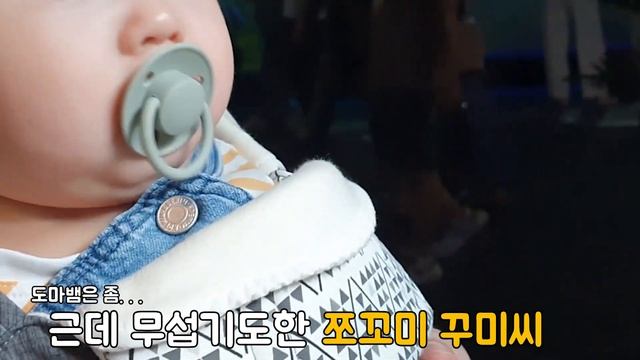 [SUB][VLOG/육아브이로그] 인생 첫 아쿠아리움???