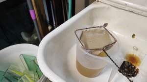 Декапсуляция яиц артемии в домашних условиях