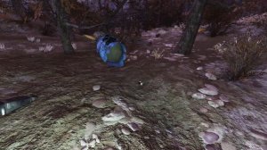 Fallout 76 - MedX Locations