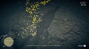 RED DEAD ONLINE ЛЕГЕНДАРНАЯ ПАНТЕРА ИВАКТА