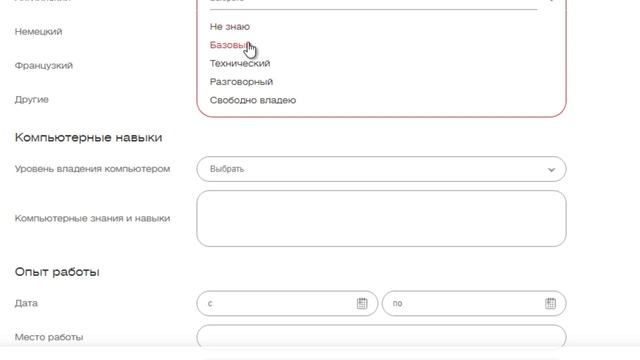 Бортпроводник АК "Россия": как заполнить анкету? (EnglishSky)