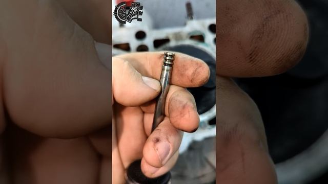 Расход масла на VW 1.9 TDI? - а ты И ДАЛЬШЕ меняй САЛЬНИКИ КЛАПАНОВ....