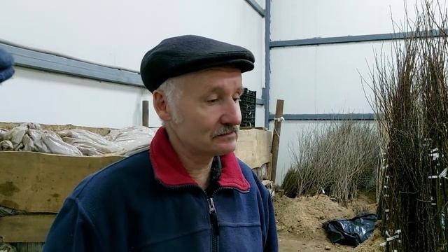 Как не ошибиться с выбором плодовых смотреть онлайн