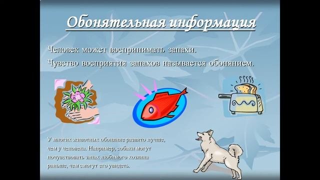 Что такое информация Виды информации