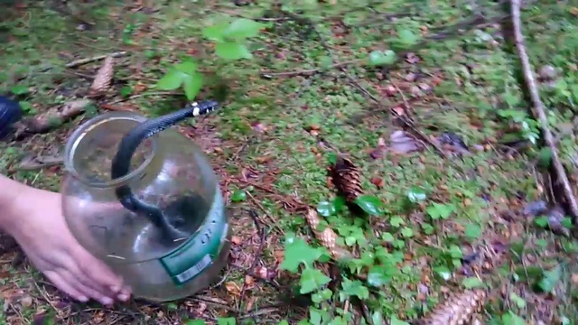 уж в лесу 2 смотреть онлайн