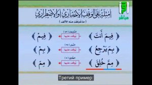 20  Айман Сувайд  Остановка и начало  ПРАВИЛО ХАФСА 3 усеченный алиф