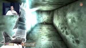 TES IV Oblivion. Коллекционер. Нет ничего, что нельзя отобрать. Тайны Айлейдов.