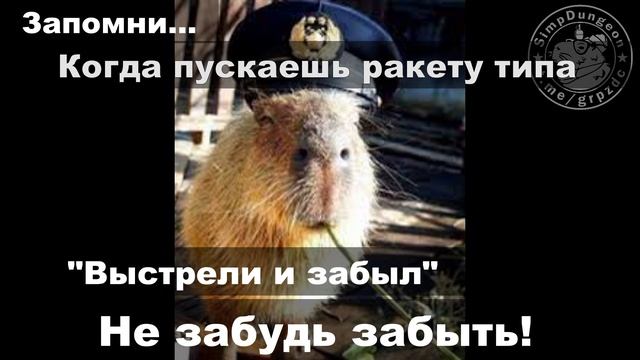 Выстрелил забыл