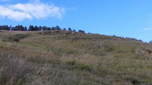 Г.Чита Сохатино  05.09.2021 г.