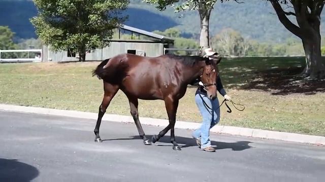Sugamo Sass (JPN) смотреть онлайн