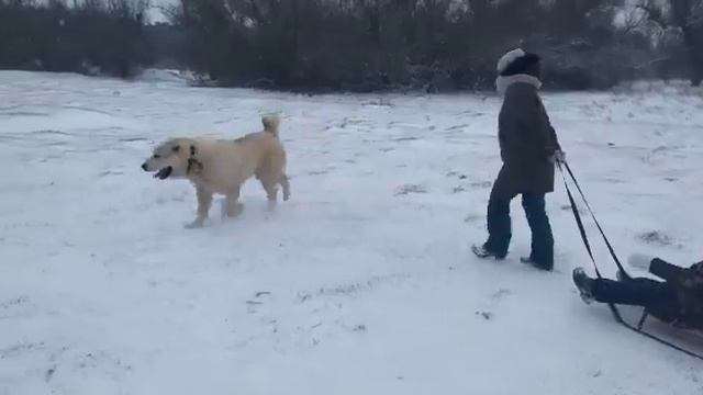 Выпускник ТИМЕРТАШ БАТЫРХАН (Крым) 1 год сын Вивы и Хазара +79048881825 viber whats www.timertash.r смотреть онлайн