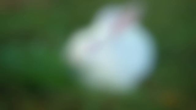 Самые Вдохновляющие Добрые Поступки Неизвестных Людей