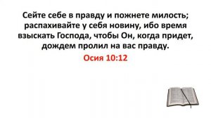 Библия, Ветхий Завет. Осия 10:12