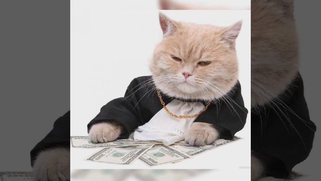 Каспийский груз- табор уходит в небо смотреть онлайн