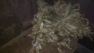 БАННИК. ЗАСНЯЛ НАСТОЯЩЕГО ДУХА БАНИ! Вот какие они в действительности. Паранормальшина!