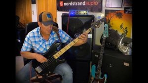 Nordstrand "Power Blade" (passive) P Bass pickups - Andy Irvine