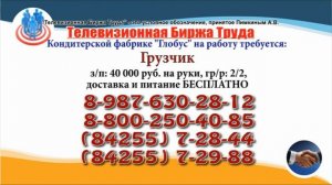 02 08 22 РАБОТА В УЛЬЯНОВСКЕ Телевизионная Биржа Труда 5