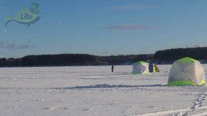 Как ловить плотву зимой со льда в разные месяцы зимы? Все секреты ловли плотвы зимой в одном видео.