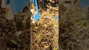 Картофелекопалка 4U 1