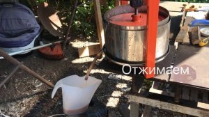 Яблочный самогон