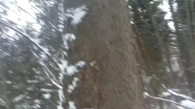 ГДЕ Взять Лес на СТРОИТЕЛЬСТВО? "ДЕЛЯНКА"