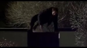 Затерянные в лесах 2012  Володя и Маша