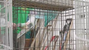 18_WiderWorld2e_SB2_Unit3_Video_WestGreen_3.6