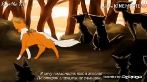 Коты воители{Кленовница}Песня-Садистка