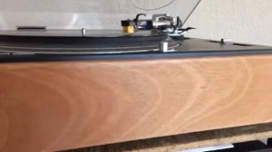Nagaoka MP-110 with Technics SL1200 MKII