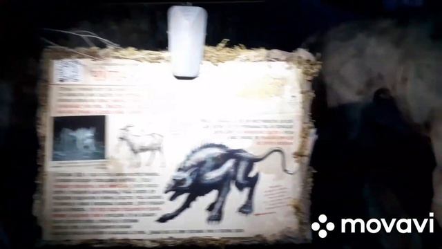 Видео 88. Криптозоологический музей фантастических существ в ТК ,,Гранд Каньон,, Санкт -Петербург смотреть онлайн