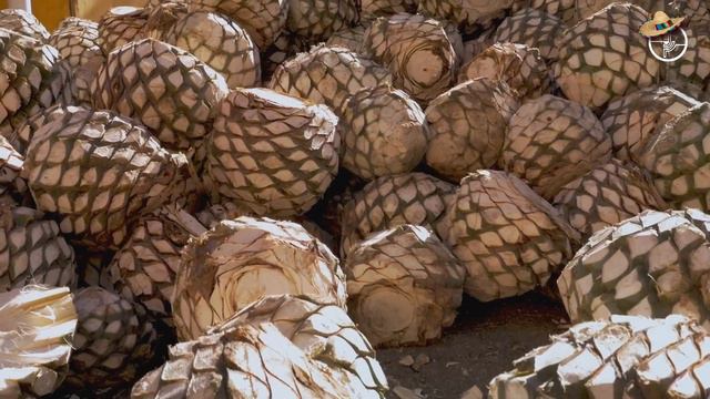 10 Mexican dishes everyone needs to try смотреть онлайн