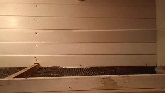 БРУДЕР ДЛЯ УТЯТ, ЦЫПЛЯТ, ГУСЯТ. Выращивание утят в брудере. смотреть онлайн