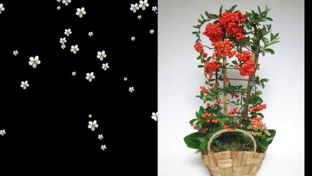 Подарок на 8 марта.Достойная альтернатива букетикам! Часть 1 смотреть онлайн