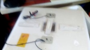 ИНКУБАТОР НЕСУШКА  на 63 яйца в Кубеинке ( март 2019)