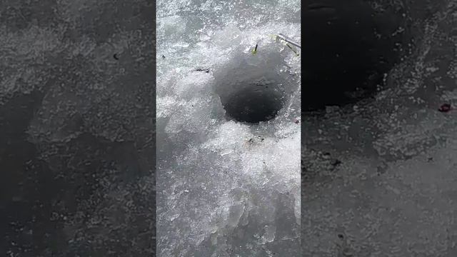 Классный день сегодня был смотреть онлайн