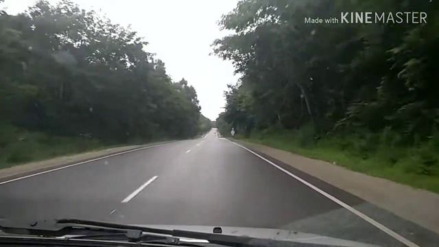 Дорога Владивосток - Шамора.2019