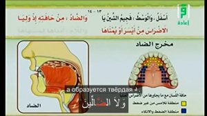 9. Место произношение букв ض - дад. "Айман Сувейд ".