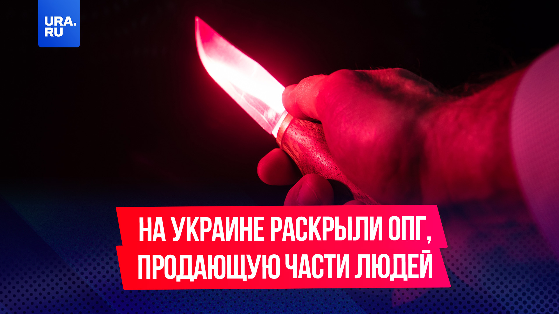 «Самый крупный рынок детей и человеческих органов»: на Украине раскрыли ОПГ, продающую части людей