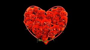 Христианские стихи. Нельзя не любить!