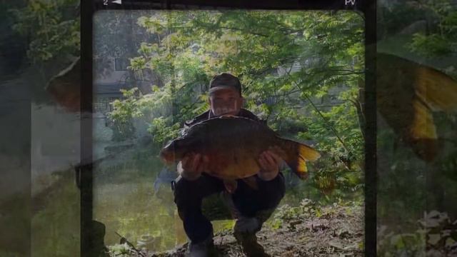 Рыбалка в Германии мои трофеи Сом 🐬🐳🐡Карп 🐟🐠🐋 смотреть онлайн