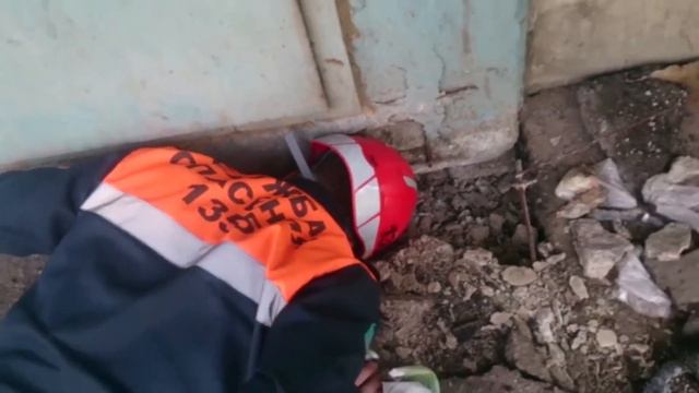 В Караганде спасатели вызволили щенка из двухдневного бетонного плена смотреть онлайн