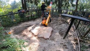 Как убрать метровый пень на кладбище методом дробления. Иваново. Laski f360. Stump grinder.