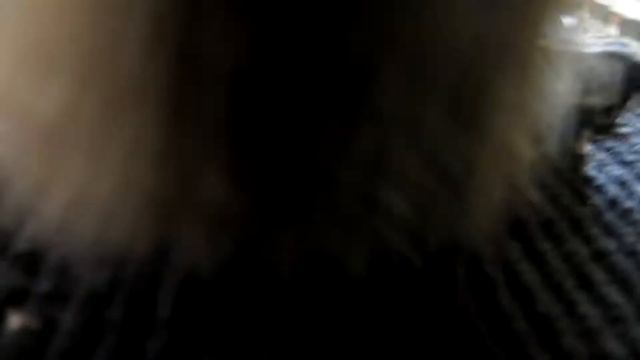 Ноутбук Lenovo G580. Ремонт креплений и чистка от пыли. г. Нежин. Кредо Сервис смотреть онлайн