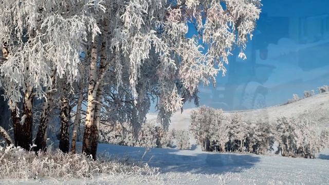 Ну ни в какие рамки уже не лезет! Зима пришла открылся сезон подснежников и понеслось.. смотреть онлайн